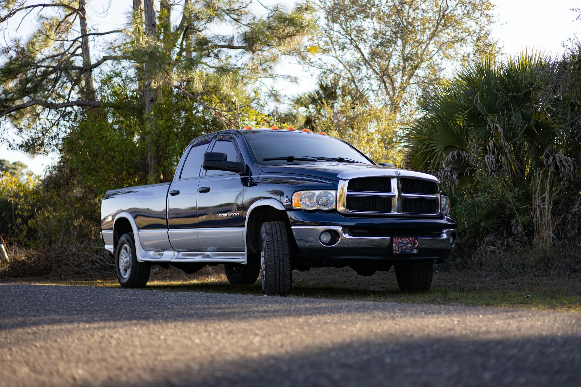 A clean dark blue heavy-duty work pickup parked on a gravel drive in front of a green tree line